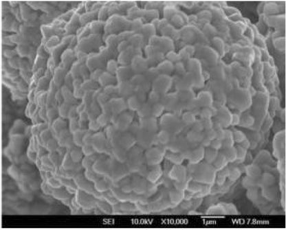 LiNiCoMnO2 (Ni:Co:Mn=8:1:1) Powder for Li-ion Battery 200g/bag - EQ-Lib-LNCM811