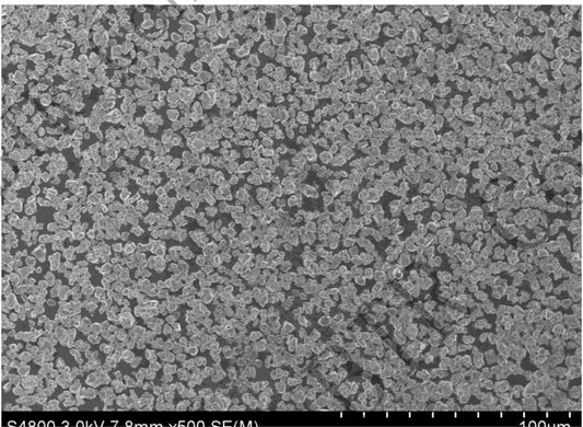 Single Crystal Powder: LiNiCoMnO2 (Ni:Co:Mn=8:1:1) Powder for Li-ion Battery Cathode, 200g/bottle - Lib-LNCM811-SC