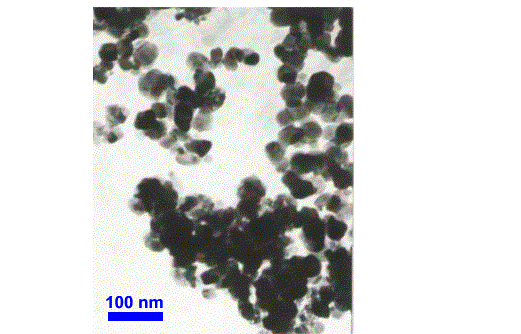 100 g Mn2O3 (99.5 %, 60 nm) Nanopowder - NPMn2O3